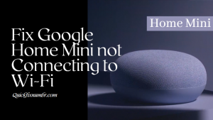 Google Home Mini